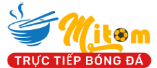 Mitom TV